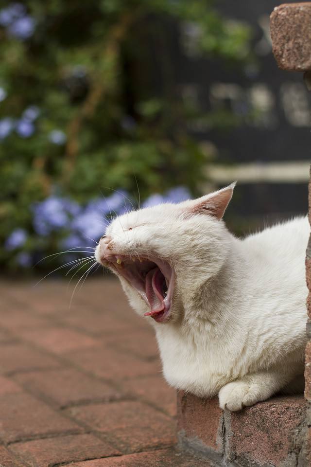 应对秋乏的几种方法深圳按摩为您总结