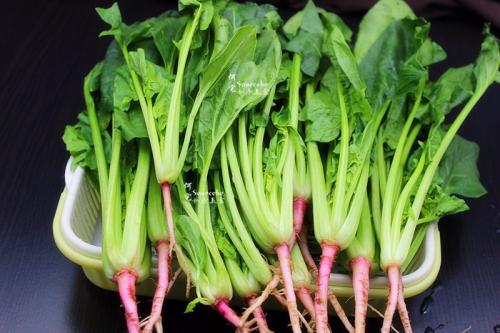 关于菠菜的食用我们深圳油压按摩为您详细解答
